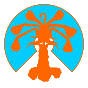 Salva Castillo personal web icon